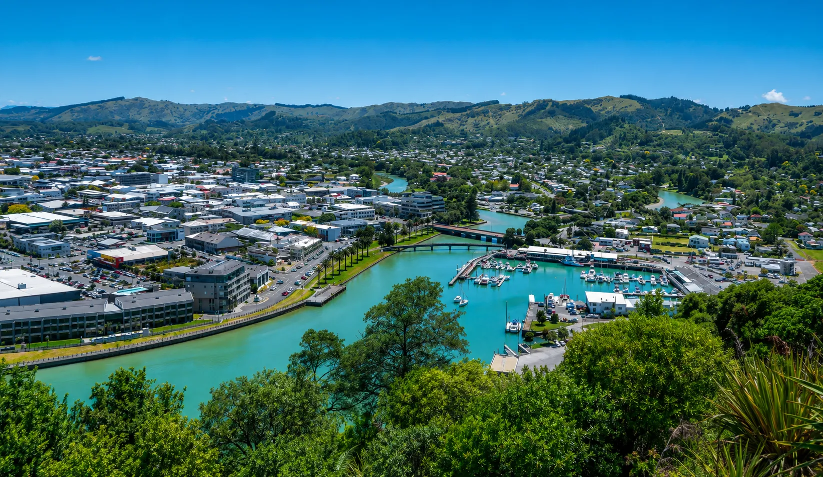 Gisborne, franchise territory available
